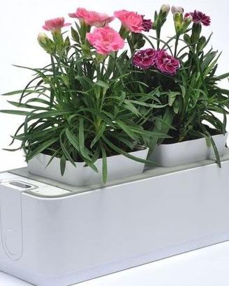 Serra idroponica led