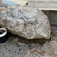 Rocce decorative da giardino