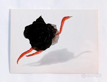 Cartolina Armando Testa - Vedova Allegra a Timbuct
