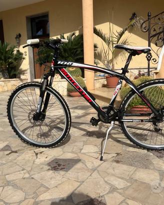 Bici bottecchia