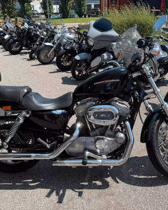 Harley davidson 883 XL