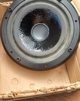 sonus  faber woofer
