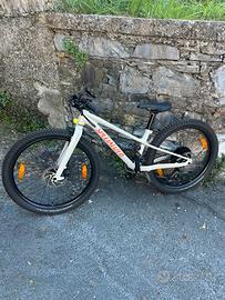 Mountainbike Specialized riprock da 24