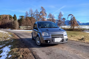 fiat panda 100hp