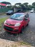 fiat-panda-rossa-86cv
