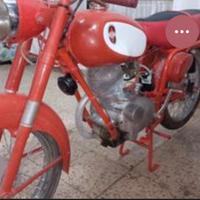 Gilera Giubileo 98 del  anno 1954