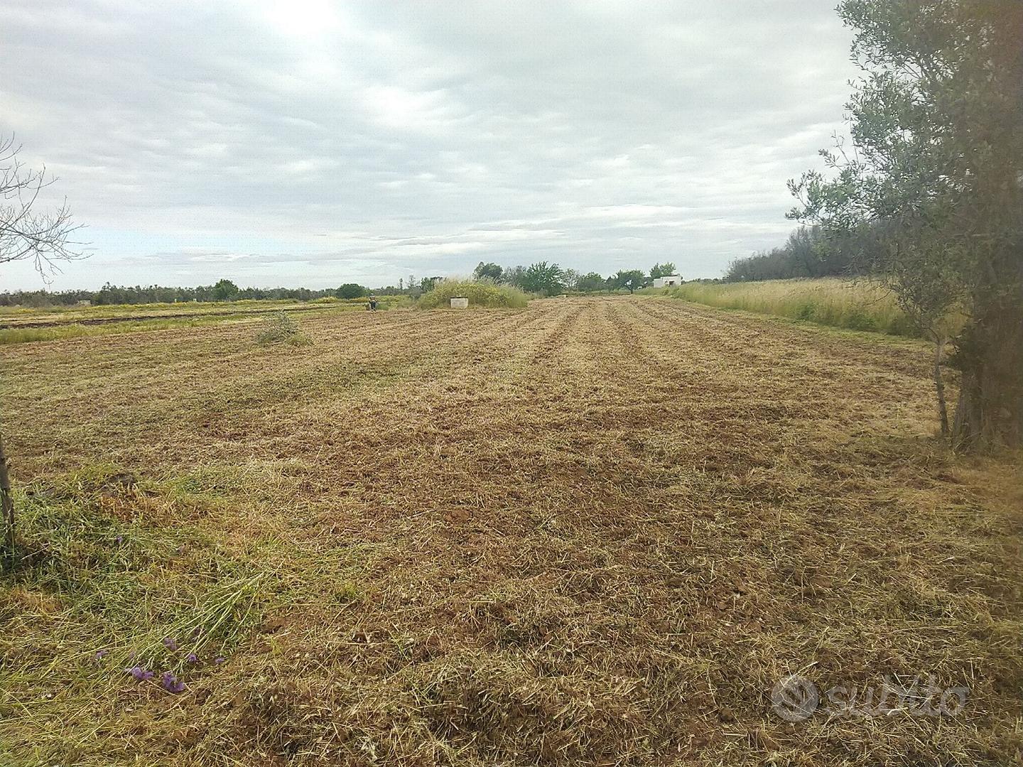 Terreno con due pozzi - Vista 4