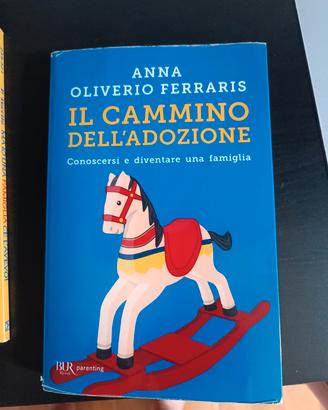 il cammino dell' adozione di Anna Oliviero 