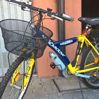 Mountain-bike sportiva