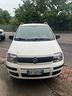 fiat-panda-1-2-easy