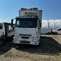 Iveco Eurocargo Frigo 180E24