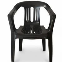 Sedie in Plastica (colore nero)