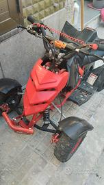 Altro Altro modello - 2024