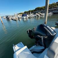 Mercury 225v6 usato anno 2024