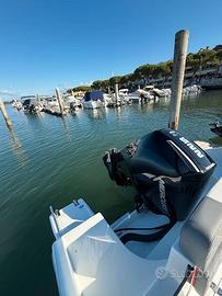 Mercury 225v6 usato anno 2024