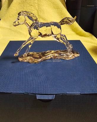 Swarovski Puledro figlio di esperanza scs