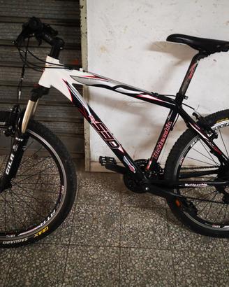 Mountain bike