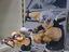 Immagine 1