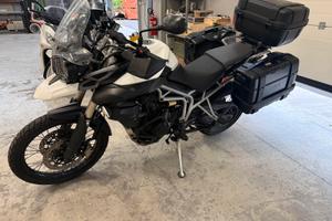 Tiger 800