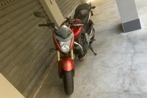 Honda hornet