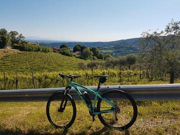 Bianchikuma 29.2
