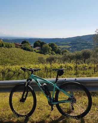 Bianchikuma 29.2