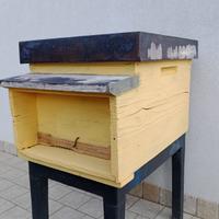 Arnia da 9 favi per api