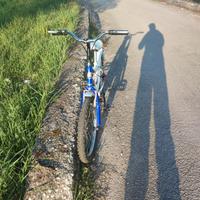 Bici 20 Gianni Bugno