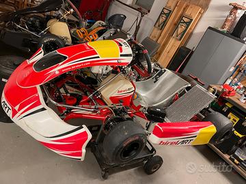 Go kart birel