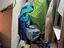 Immagine 19