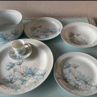 servizio piatti Richard Ginori 