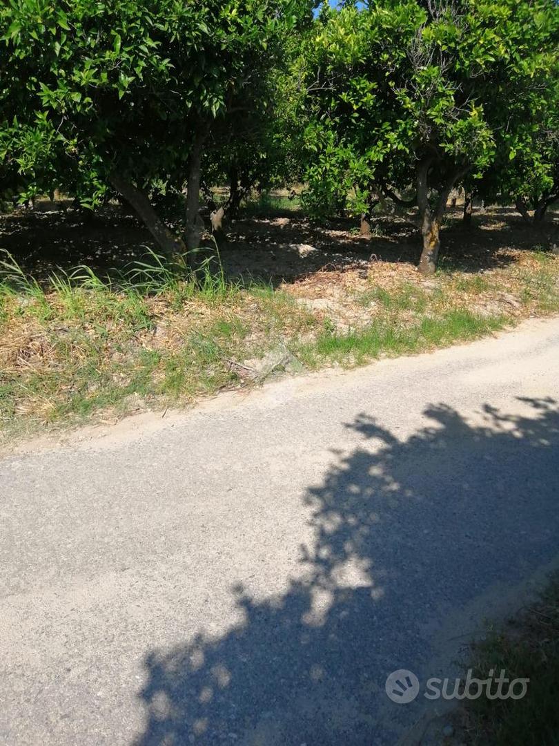 TER. AGRICOLO A SQUILLACE - Vista 5