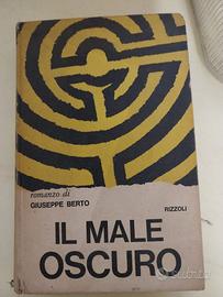 Il male oscuro di Berto Giuseppe