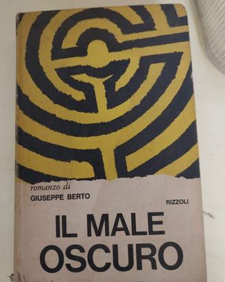 Il male oscuro di Berto Giuseppe