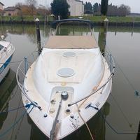 barca wellcraff 28 martinique 