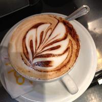 Barista cameriere di sala