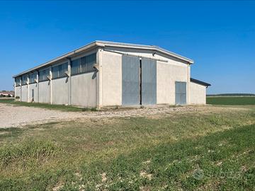 Terreno Agricolo 8 ha con pozzo e capannone Sissa