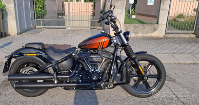 Street Bob 114 anno 2023