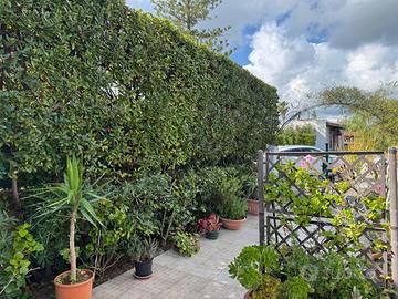 Villa singola Siracusa [Cod. rif 3299742VRG]