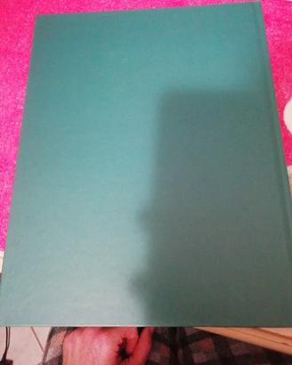 Monet Art Gallery De Agostini