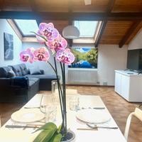 In centro, con parcheggio coperto