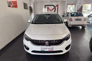 Fiat Tipo 1.6 Mjt S&S 5 porte Easy Business
