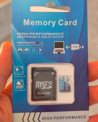 Micro SD Sony 256 GB Velocità Standard