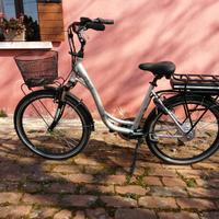 Bici pedalata assistita