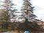 Immagine 6