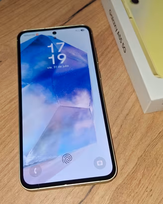 Samsung A55