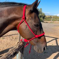 Capezza e longhina nuove