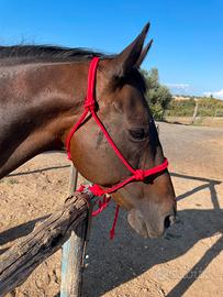 Capezza e longhina nuove