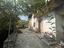 Immagine 11