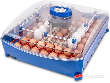 Borotto LUMIA 56 Automatica - Incubatrice per Uova